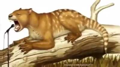 Aaaa