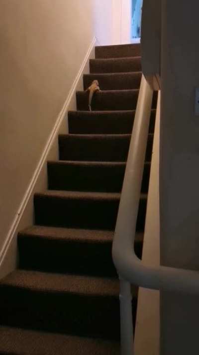 Olympic training has begun