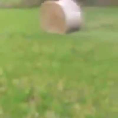 To be fair, theres not much else to do on a farm.
