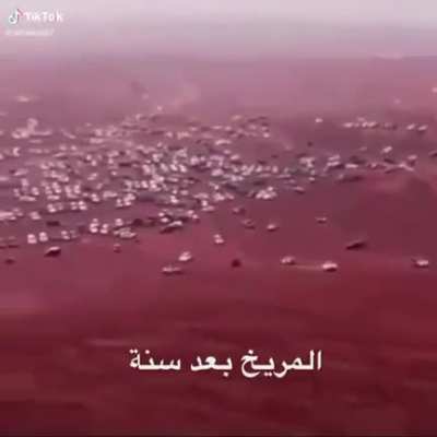 Mars after a year from now