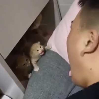 I’m a fierce beast. Fear me, hooman.