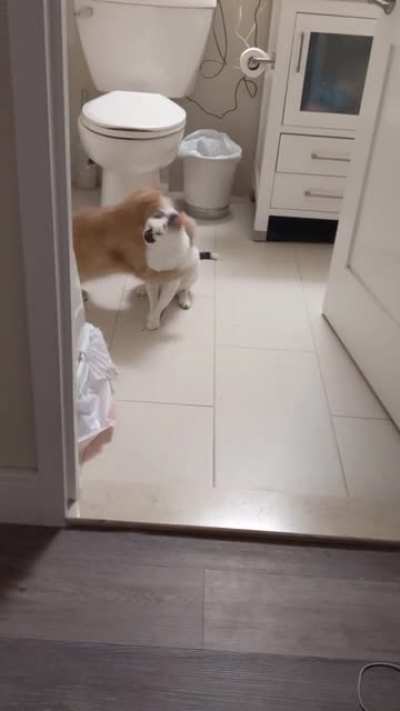 You come at the king, you best not miss