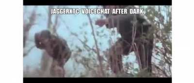 JaggerXTC