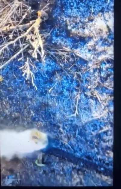 Near Bakhmut, Ukrainian drone strikes russian soldier, setting his behind on fire