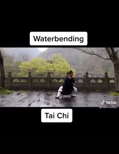 Real Martial Arts that inspired Avatar