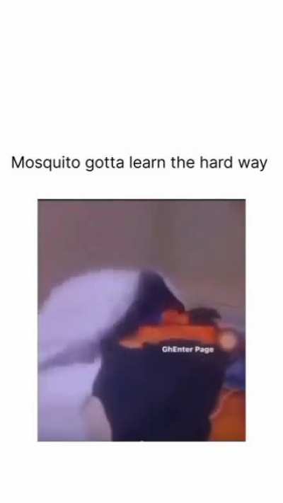 Mosquitoussy