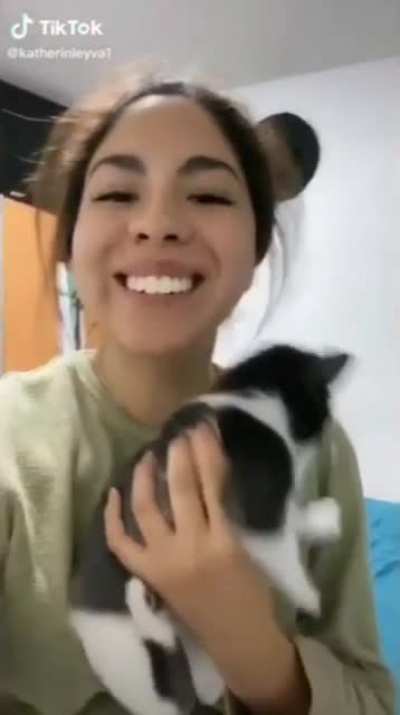 The cat is like, 