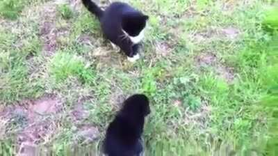 Go away