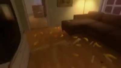 man BRUTALLY murders innocent fruits and vegetables and livestreams it