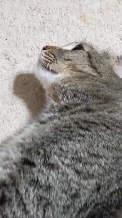 She doesn't like her name