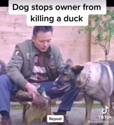 That is the cutest thing