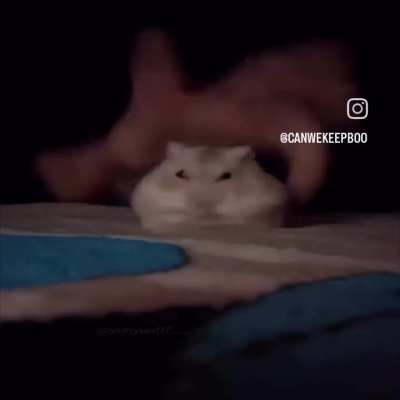 NÃO