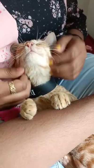 Kneading in nirvana