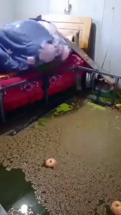 Ok im sorry that this is a common shitpost. But i really wanna know if there is any origin to this video/clip