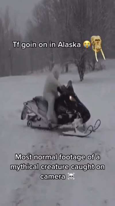 Joining the other 2 guys to save this subreddit (luckily jake escaped Alaska💀)
