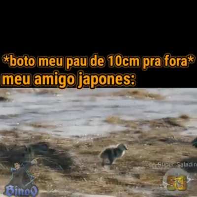 Por isso eu quero ir pro Japão