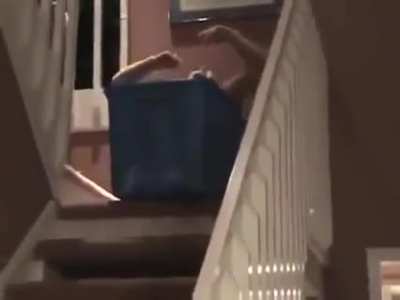 pushed down the stairs while sitting in a box