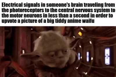 neuron activation