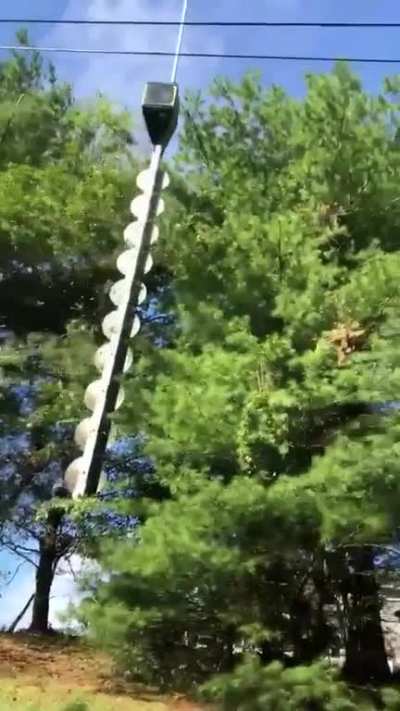 Just chopping branches with the chopper