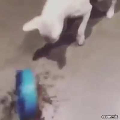 Yeet