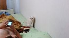 WTF AMIGO EL PANA MIGUEL ES RUSO!!! SE LE VE MUY FRESCO NO TE VOY A MENTIR