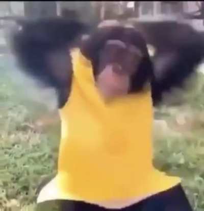 Mm banana