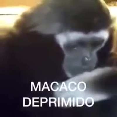 n sei se é repost, peguei do discord