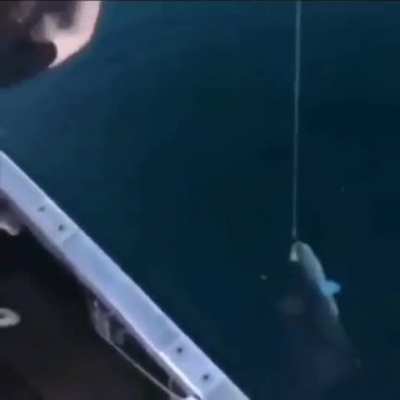 fishgun