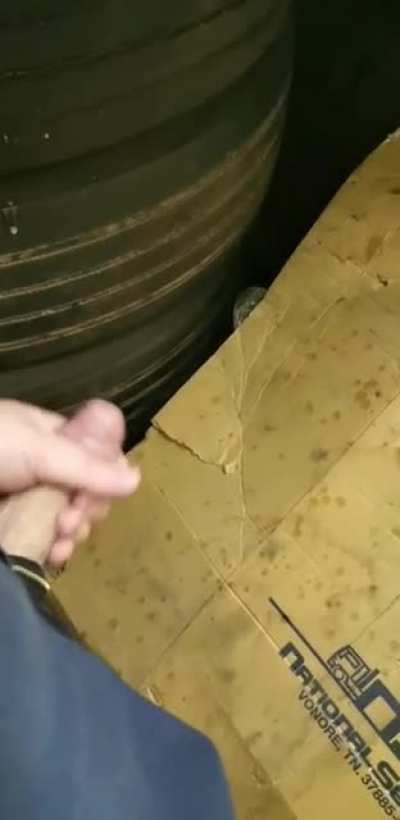 Not sure if this counts as hyper<wbr>sperm<wbr>ia...