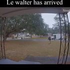 Le walter has arrived