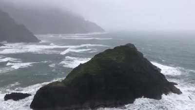 A lovely rainy day on the Oregon Coast