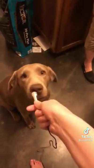 Would you like a treat?