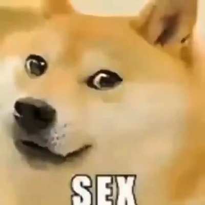 Doge rule