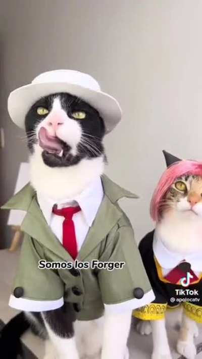 si