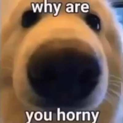 E621