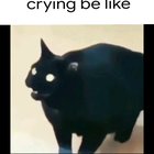 It do be like that
