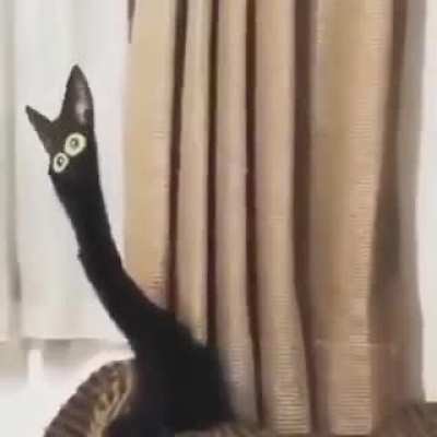MiNhAaAaAaAauUuUuUu