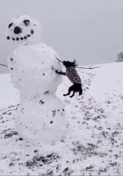 My stick!