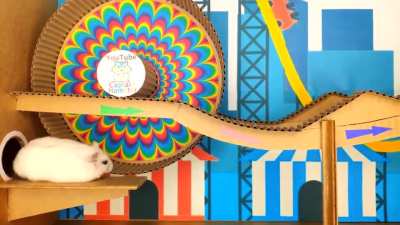 The engineer and the hampster