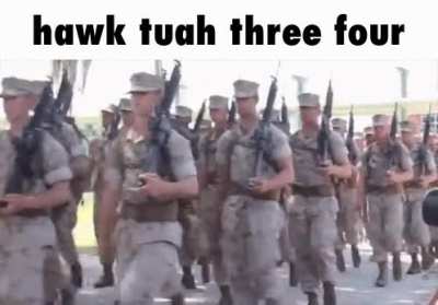 hawk