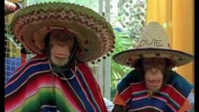 monke in spanish