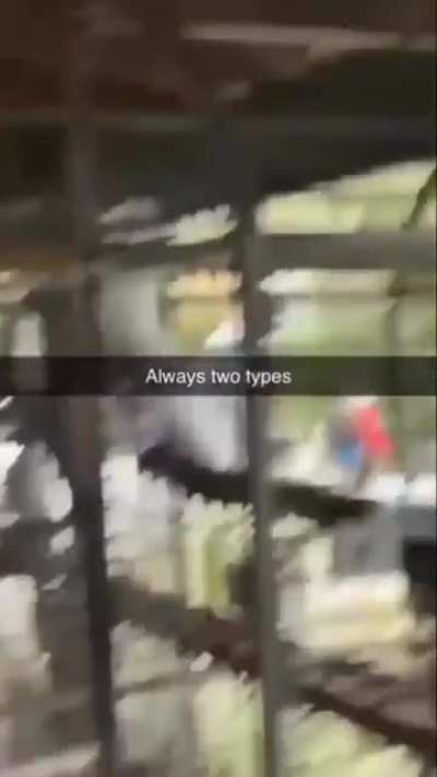 hi