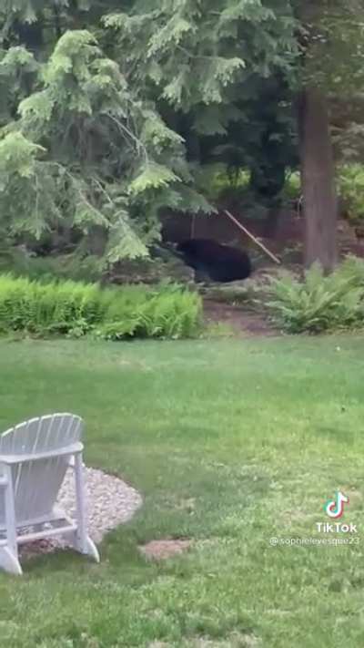 It’s his hammock now