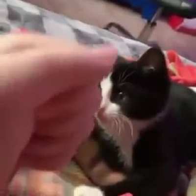A😲