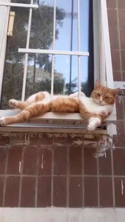 Котоо<wbr>тдых