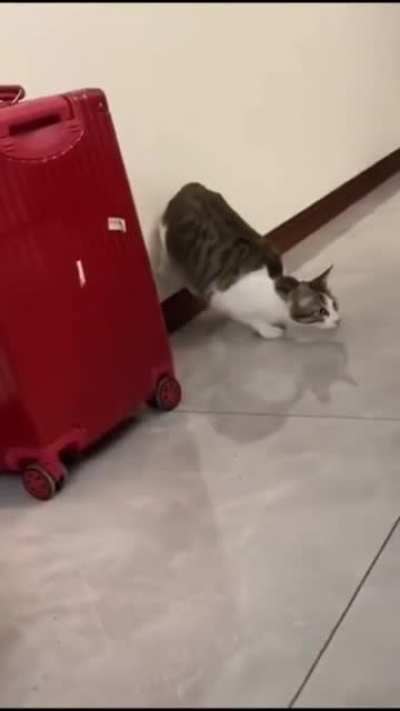 getting leverage for maximum dash speed