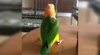 pulando muito