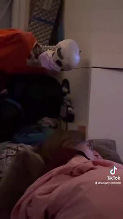 We moved my skeleton to the sunroom because he normally sits where the Christmas tree goes, a bit later I get this video from my sister.