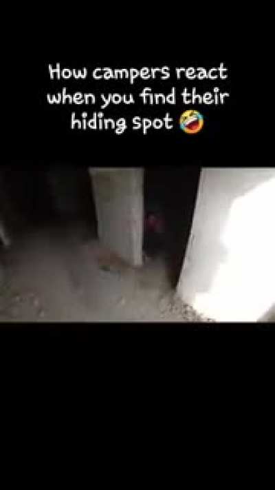 Campers gets shit scared of them.