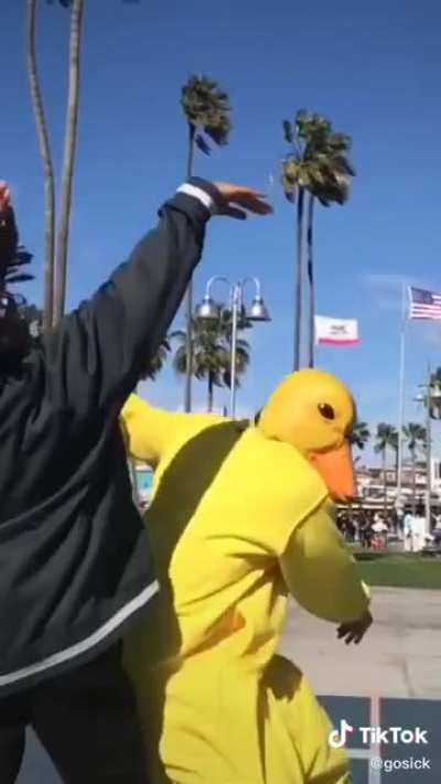 Holy duck